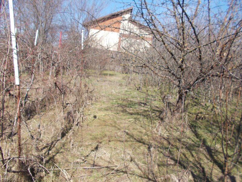 Vanzare Casa 4 Camere Clinceni